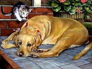 Dog and Kitten, a pet portrait